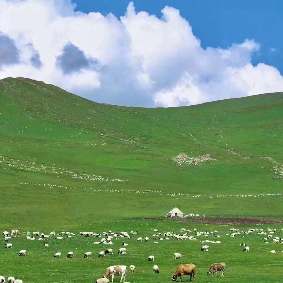 小峰家的养殖场