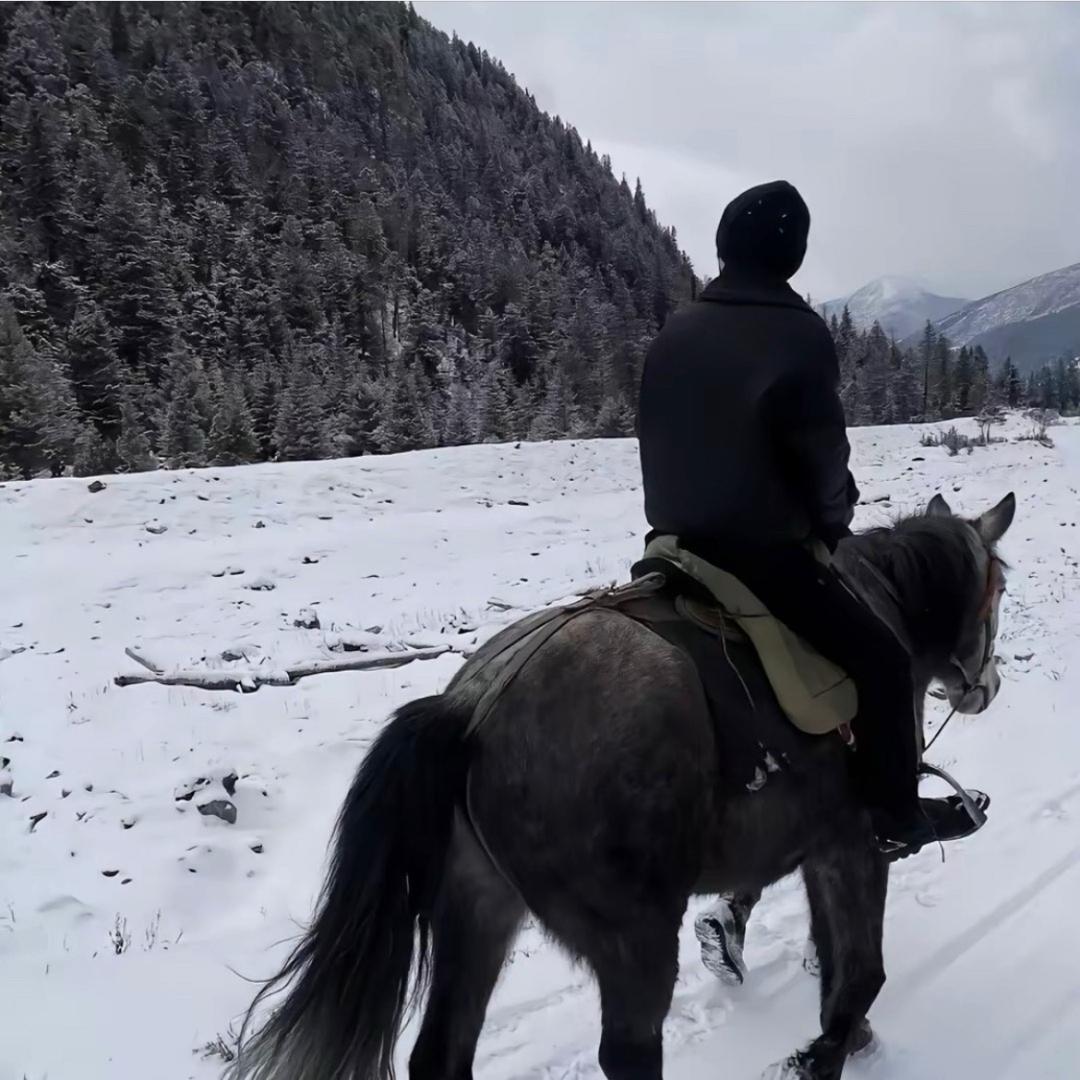 双沟镇万豪花园酒店