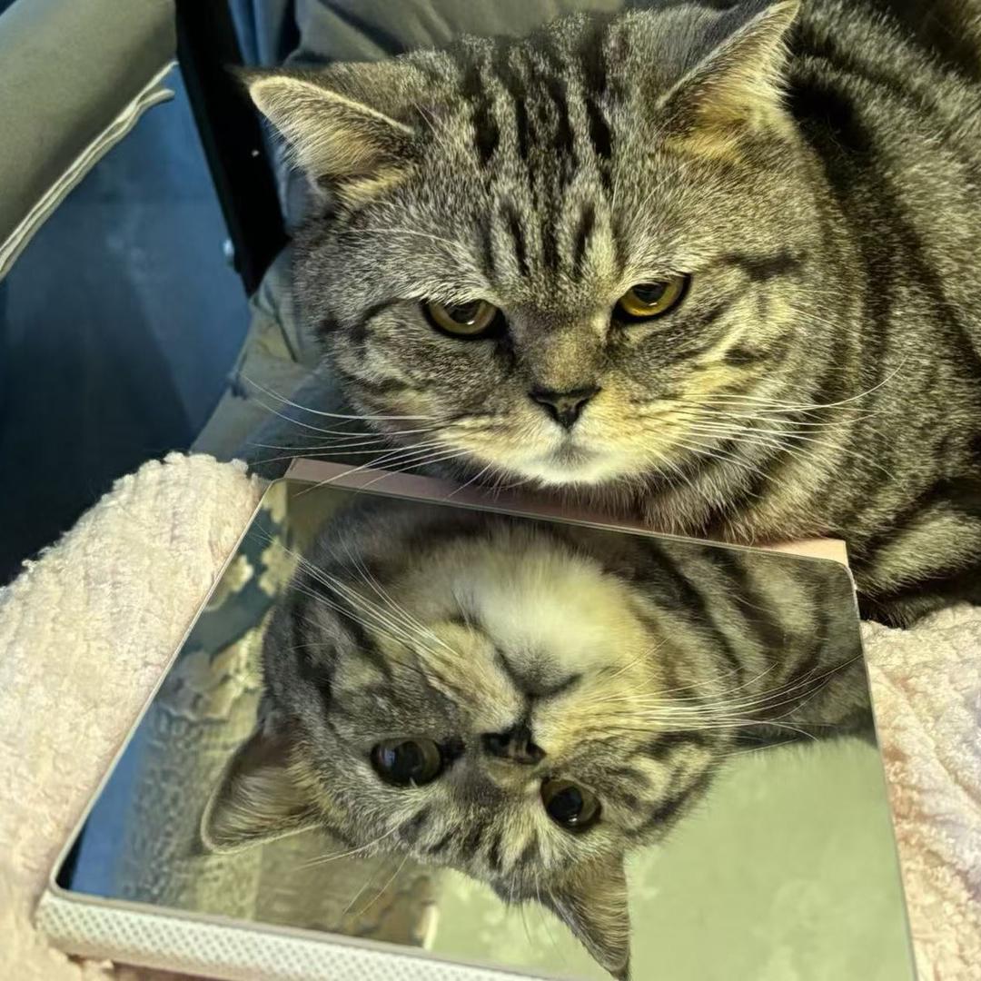 不想说话