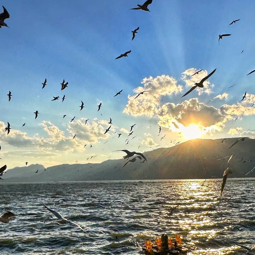 满袅泽百货店娜娜