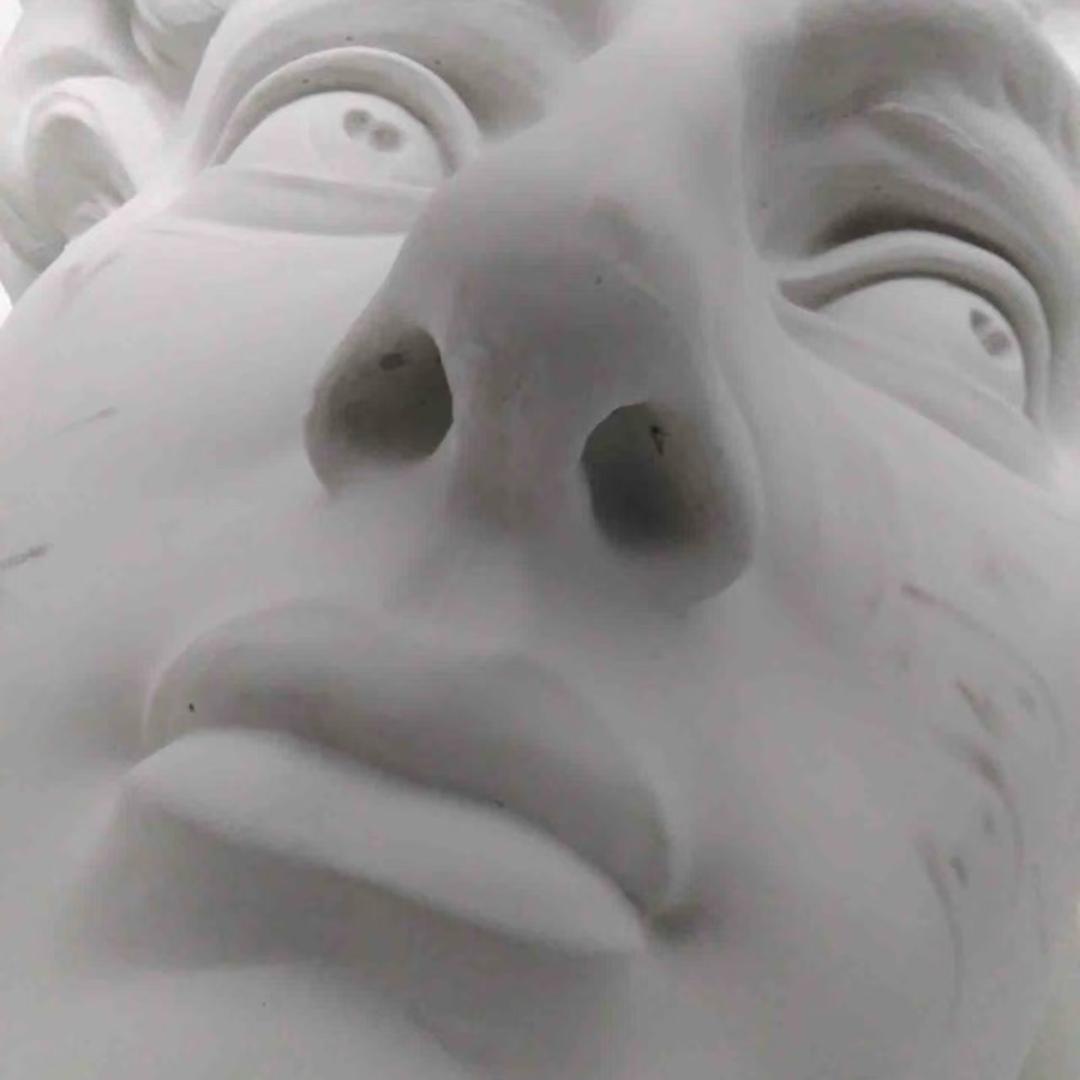 花神指