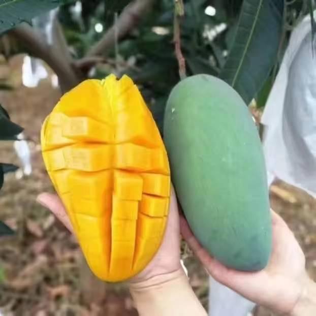庆远祥鲜果