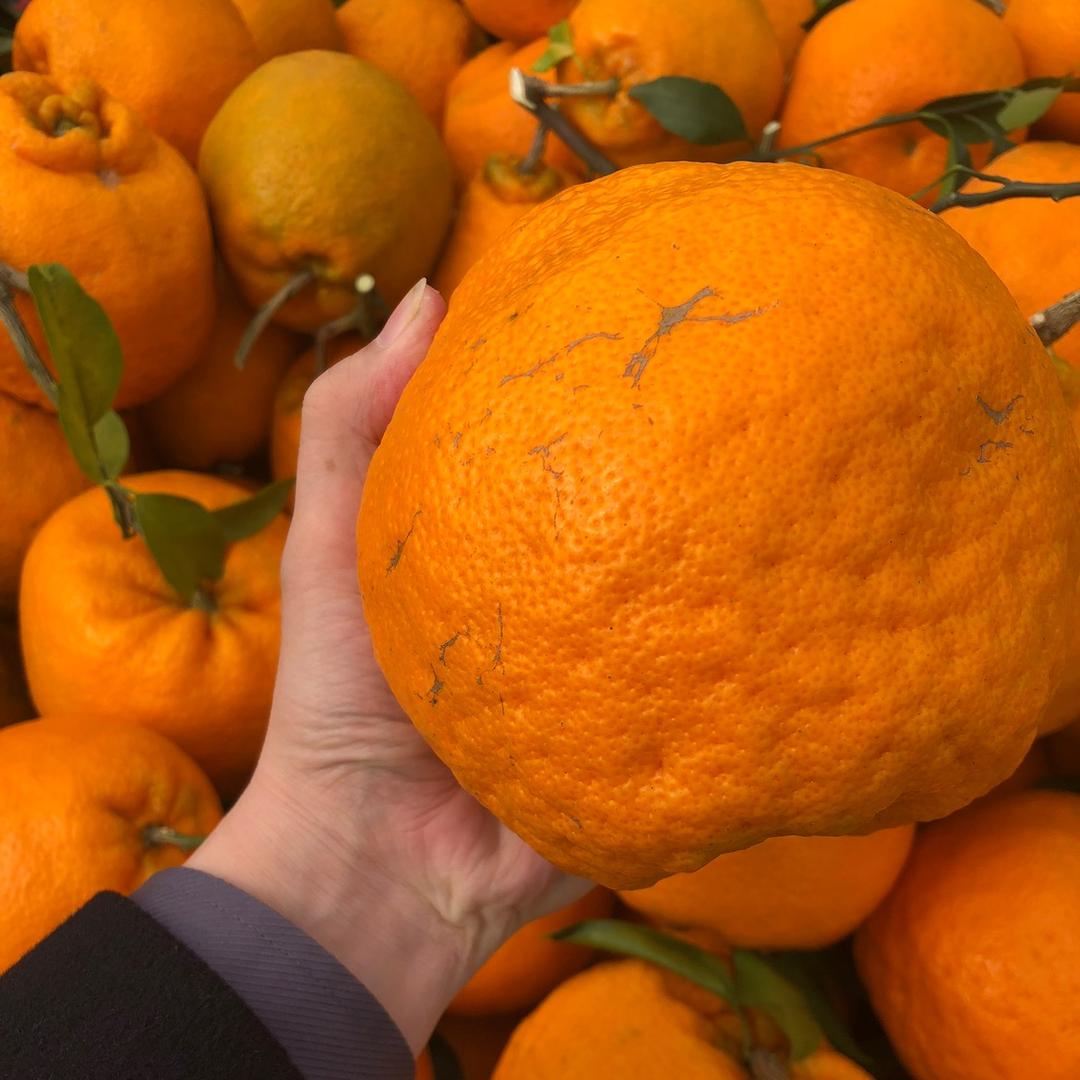 销售是你的谎言