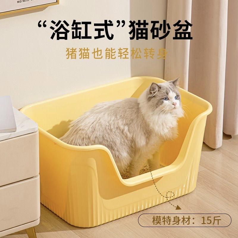MiaoAng和猫