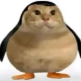 (  •̆ ᵕ •̆ )◞♡