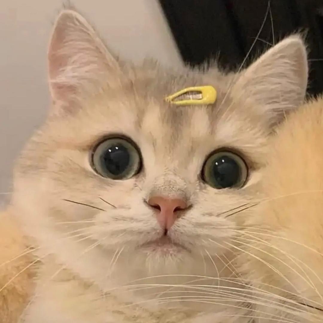 6449