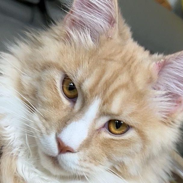 粼羽钓具（钓鱼人）