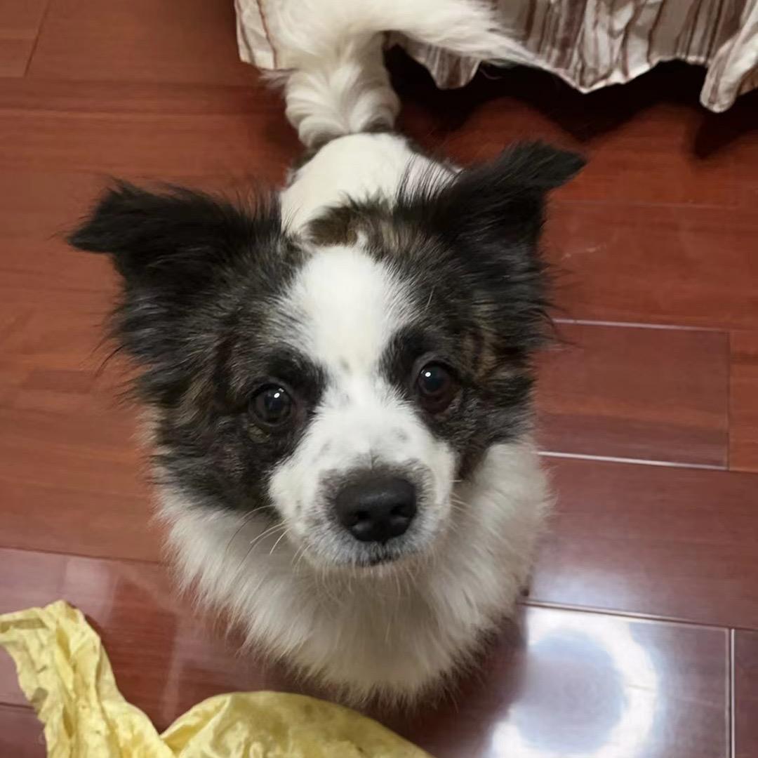 🌈 爱吃超绝酸奶🥣