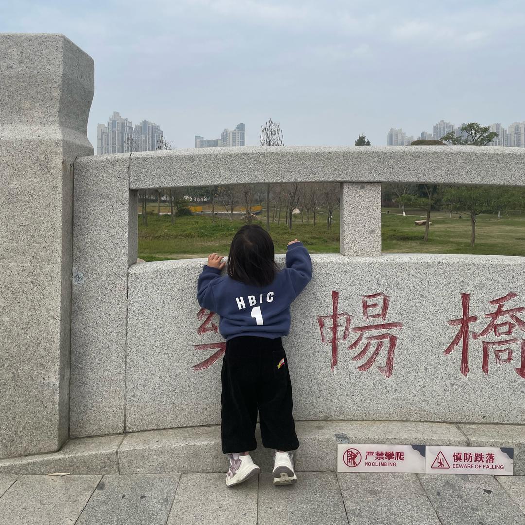 种豆得豆