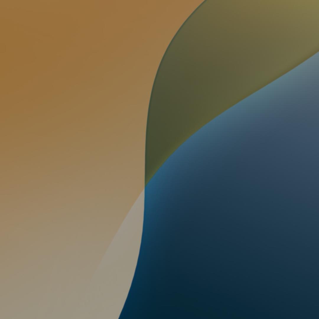 the 6