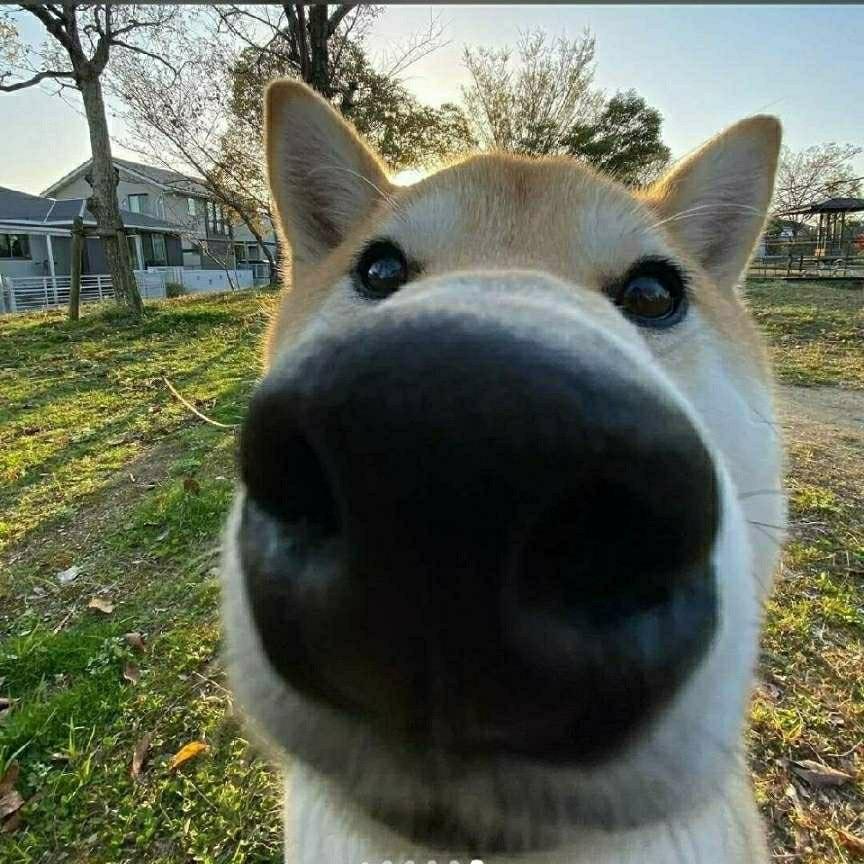 富婆在爱我一次