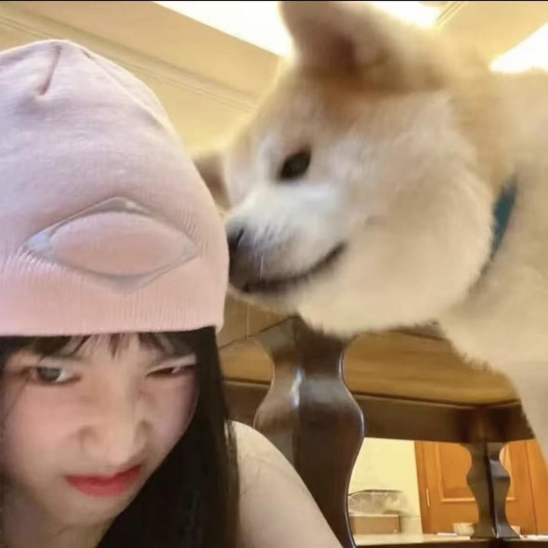 什猫意薯