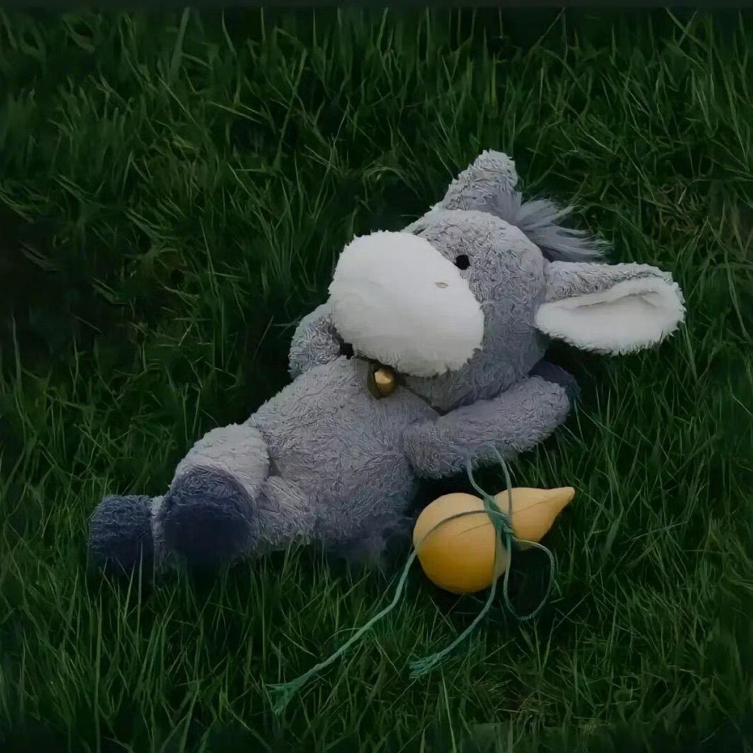 猫儿山的：小付