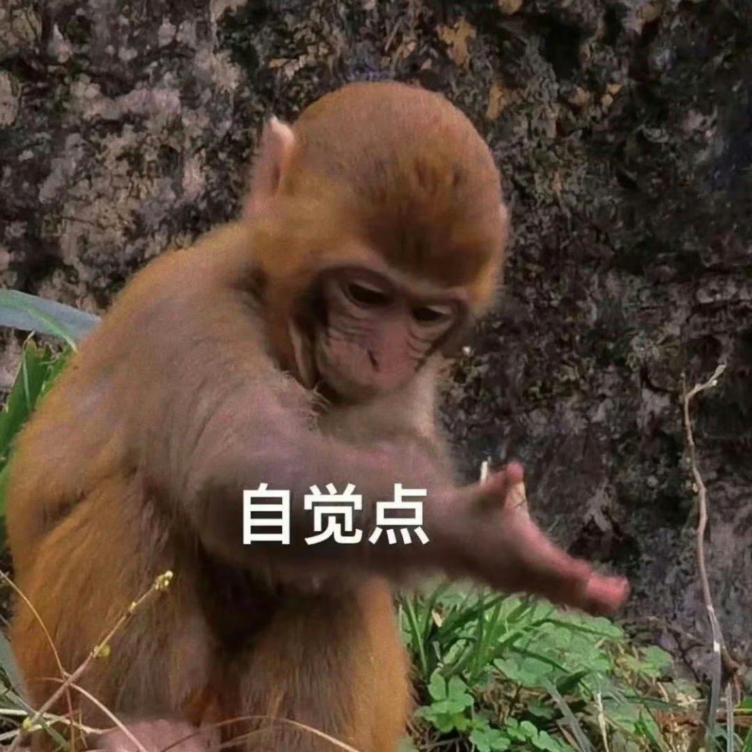 万物皆可两掺儿