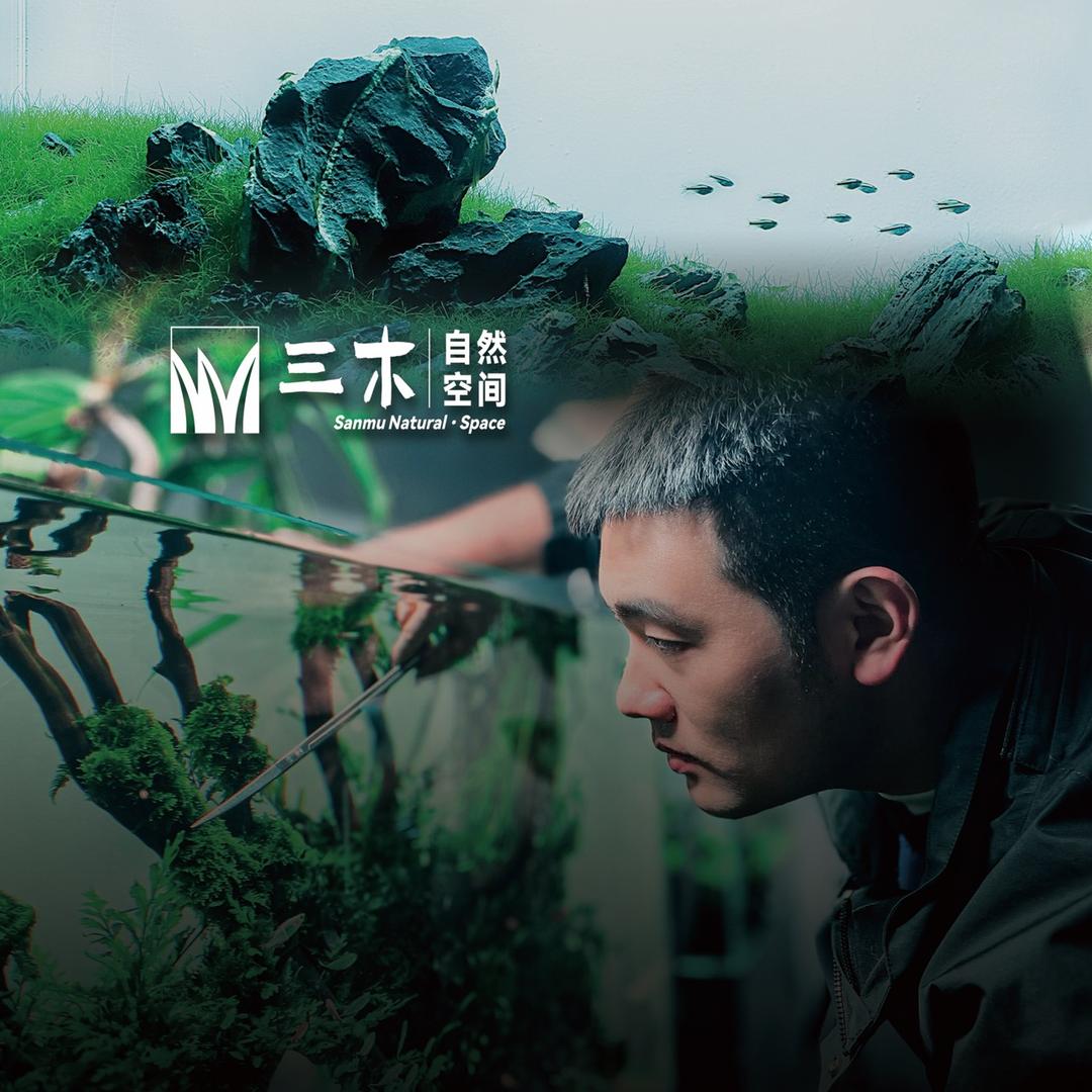 罗宾漂流记