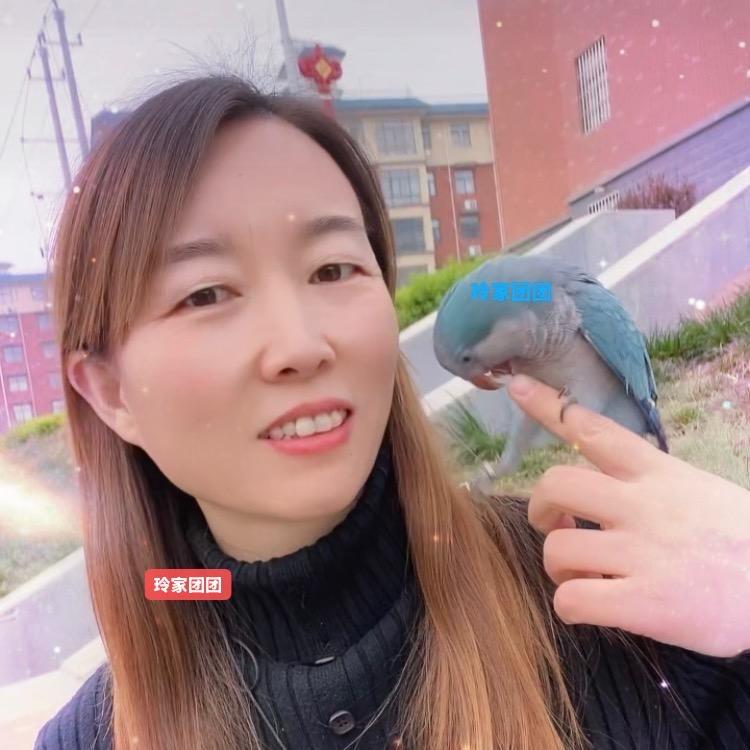 玲家团团🐦