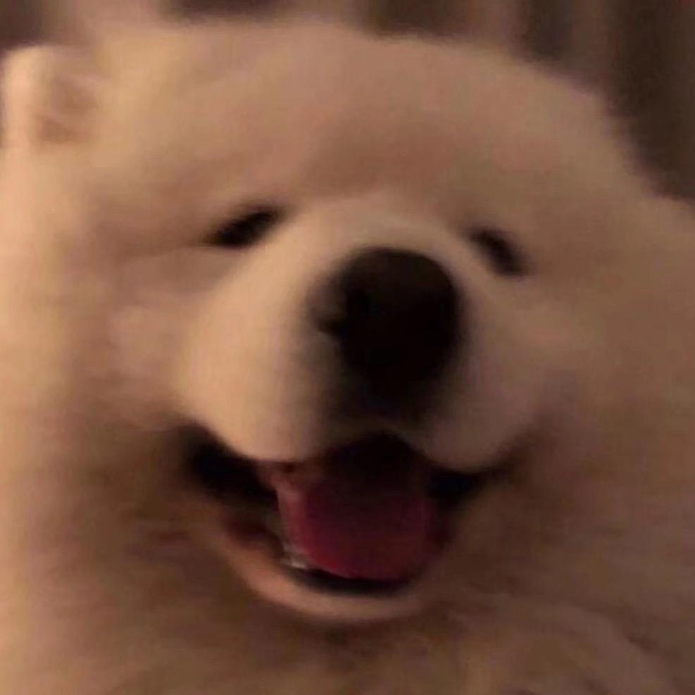 秋秋