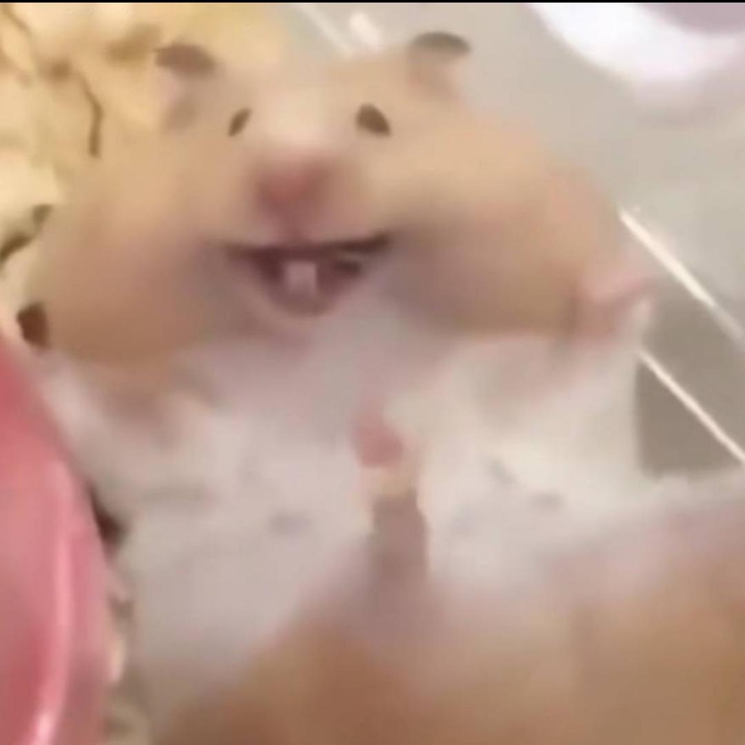 别刷视频了，狗命重要