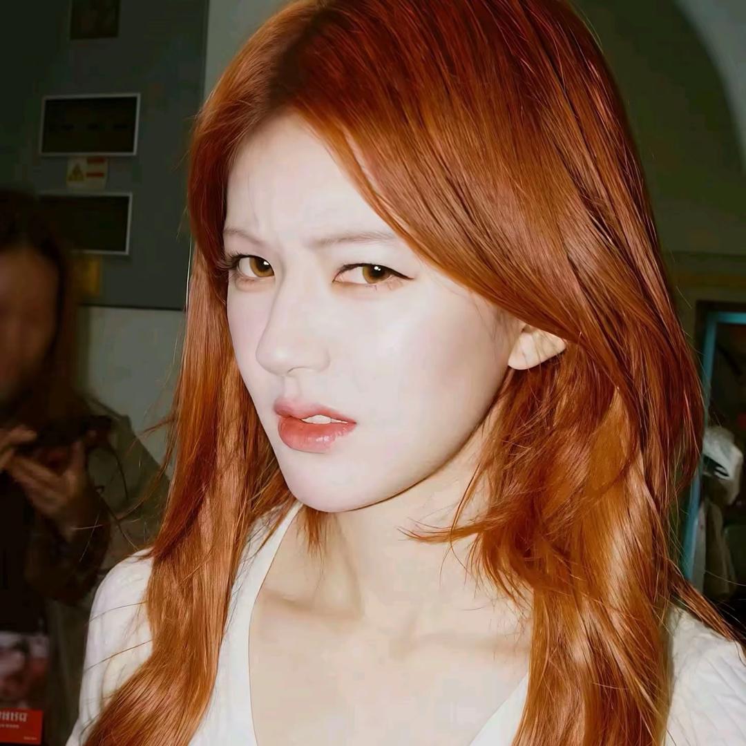 愤怒香菜拯救世界