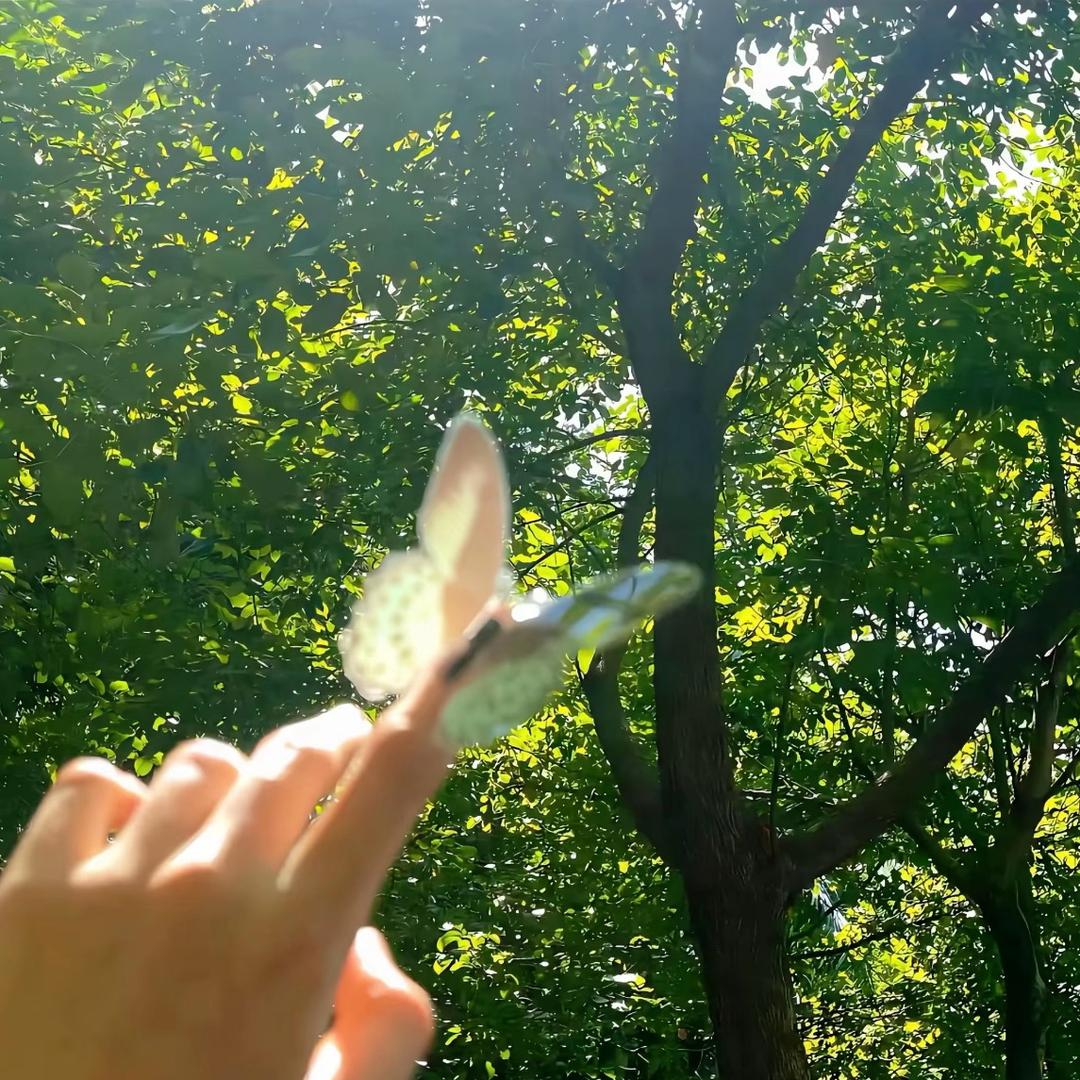 潮鞋鑫泽林