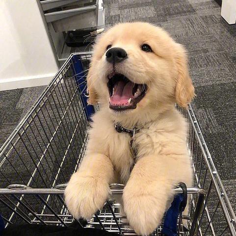 阿萱去哪了～📷🚴✈️