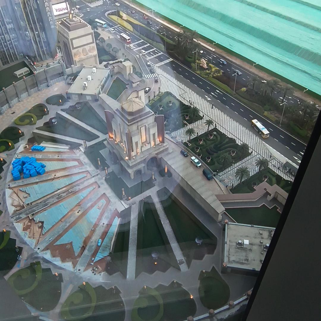 灰小狼