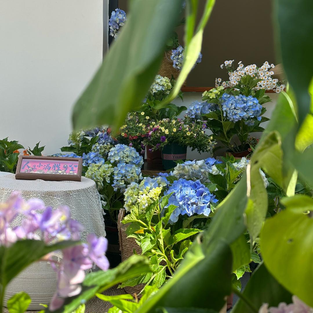 隆安巷往小院（宵夜、茶饮、团建包场）