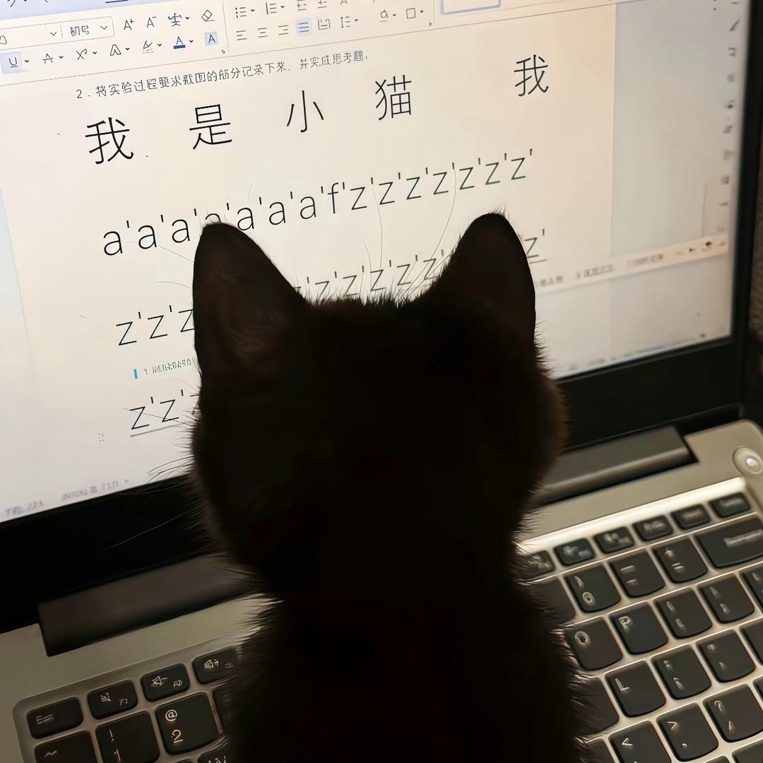 说假话