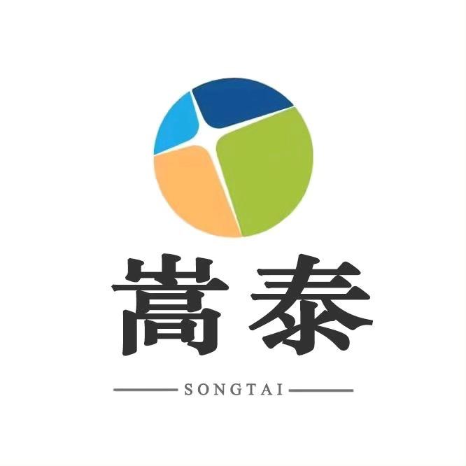嵩泰益智玩具店