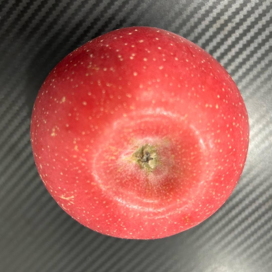禄之堂