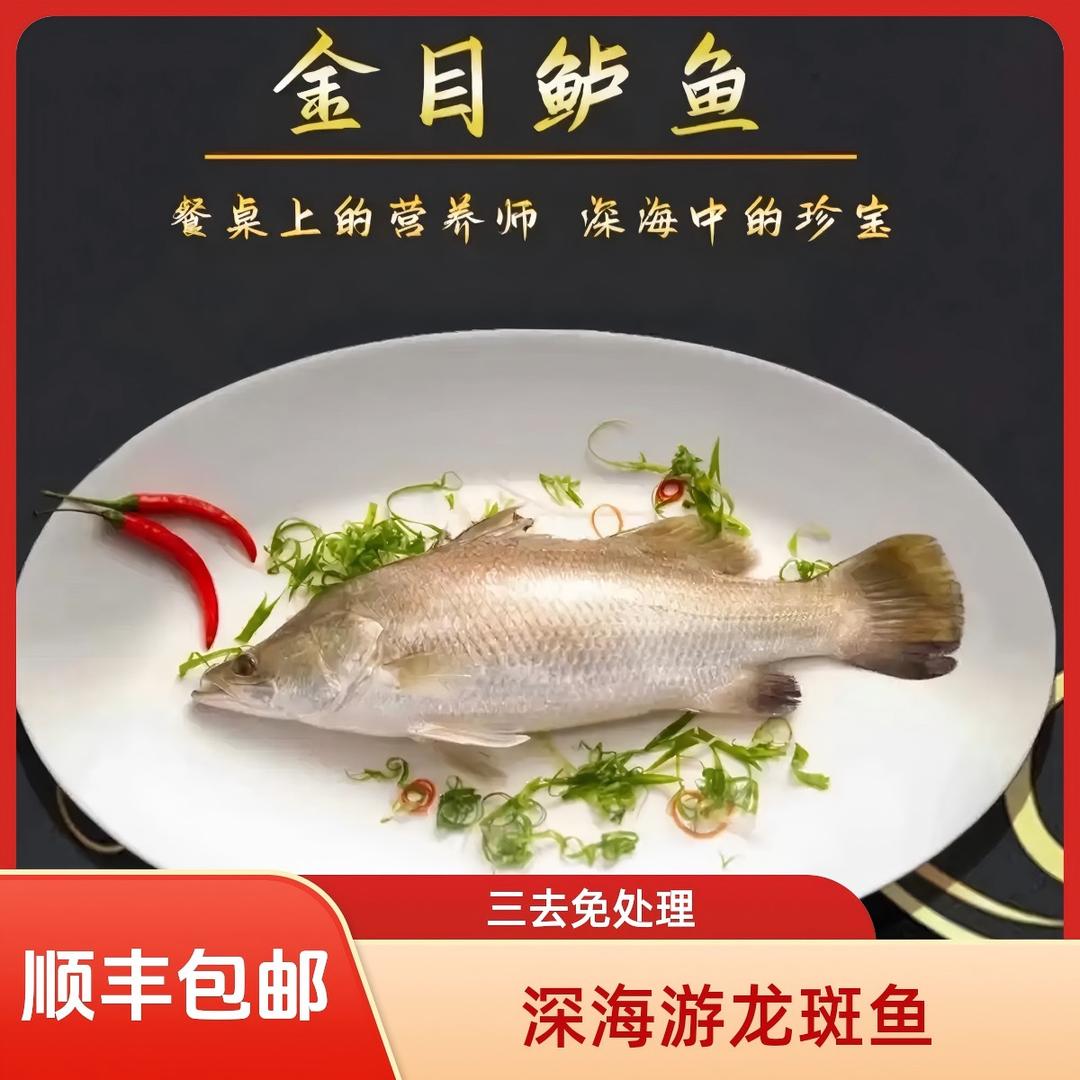 珠海斑基地水产