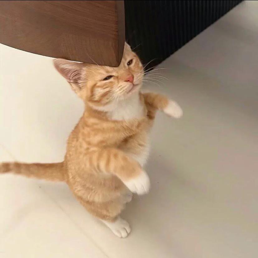 虞姬