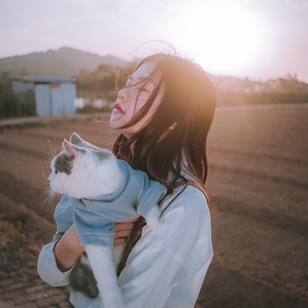 难不住小秦