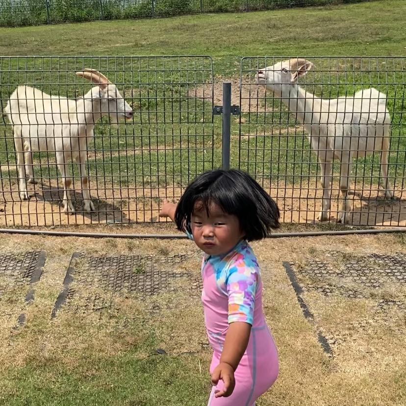 黑子（猫猫大队长）