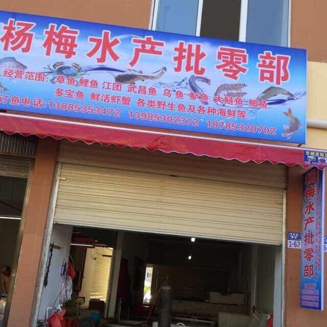普定杨梅水产