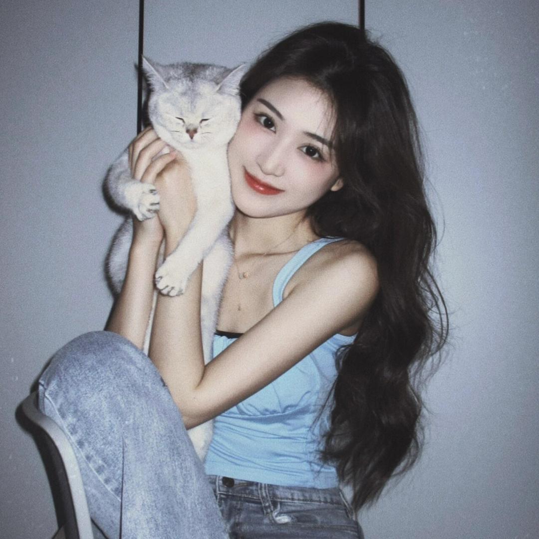 猫猫