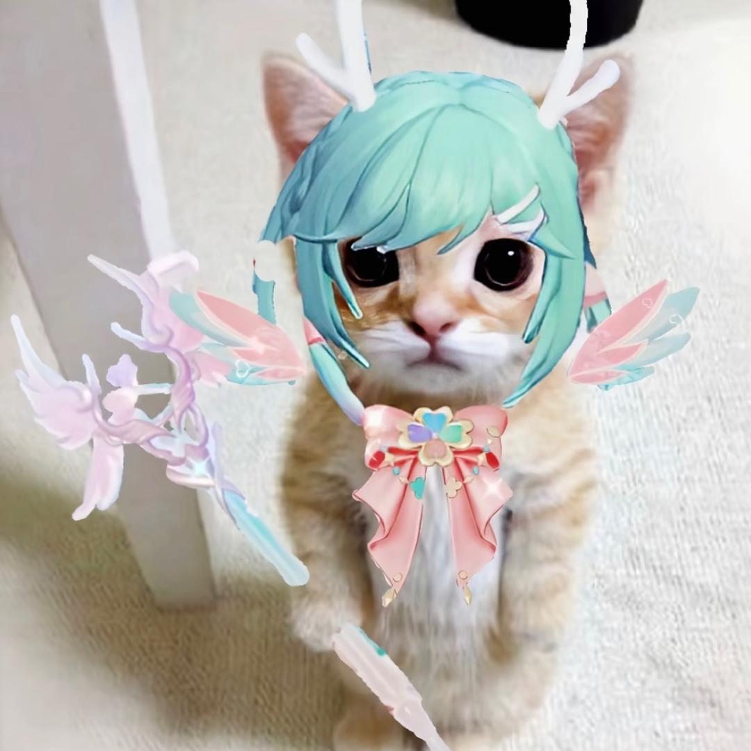 石屏伊美养生
