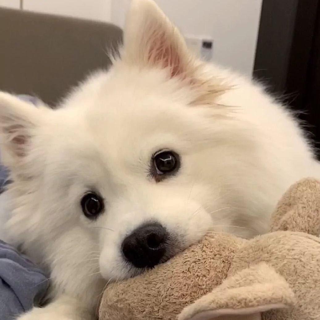 慈溪二手机-嘉诚数码