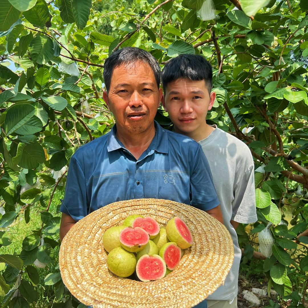 岭南农场