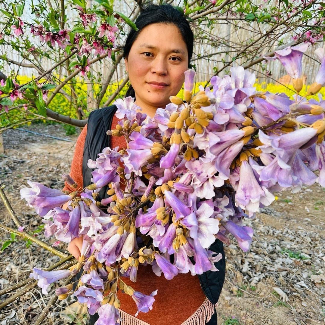 中草花