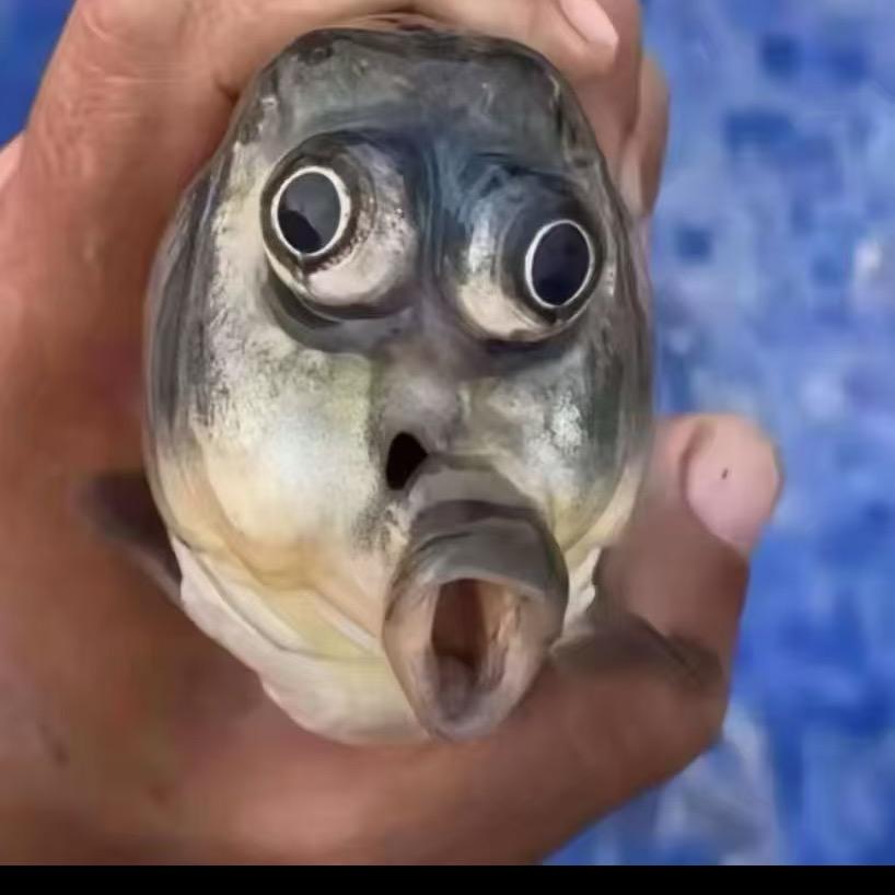 品牌竿