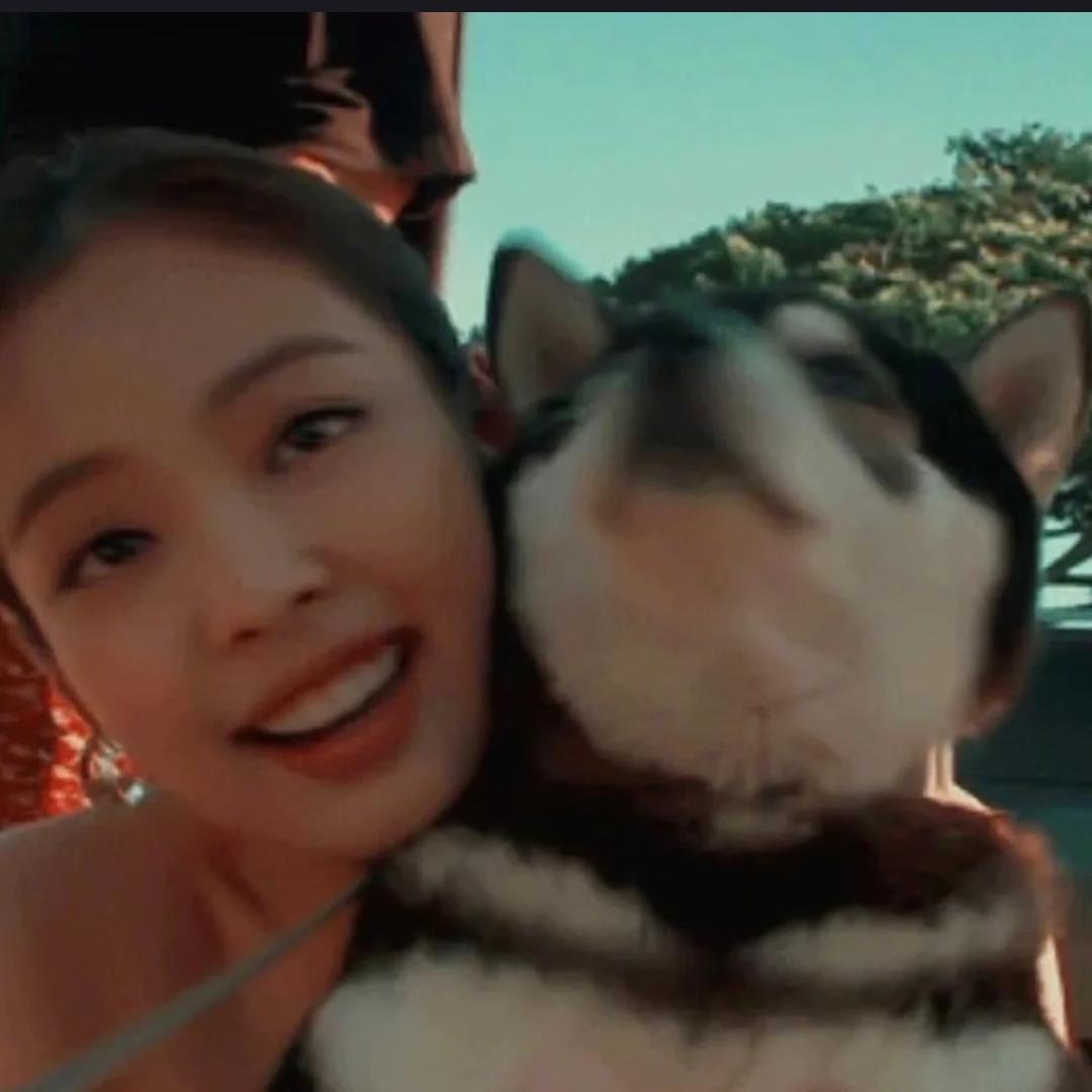 月亮也听jennie说