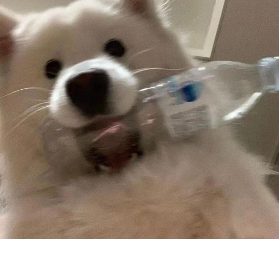 小阿龙_
