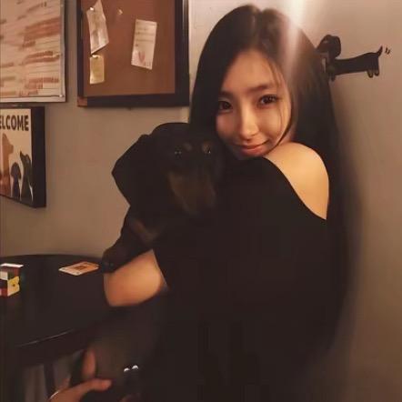 猫吃三文鱼