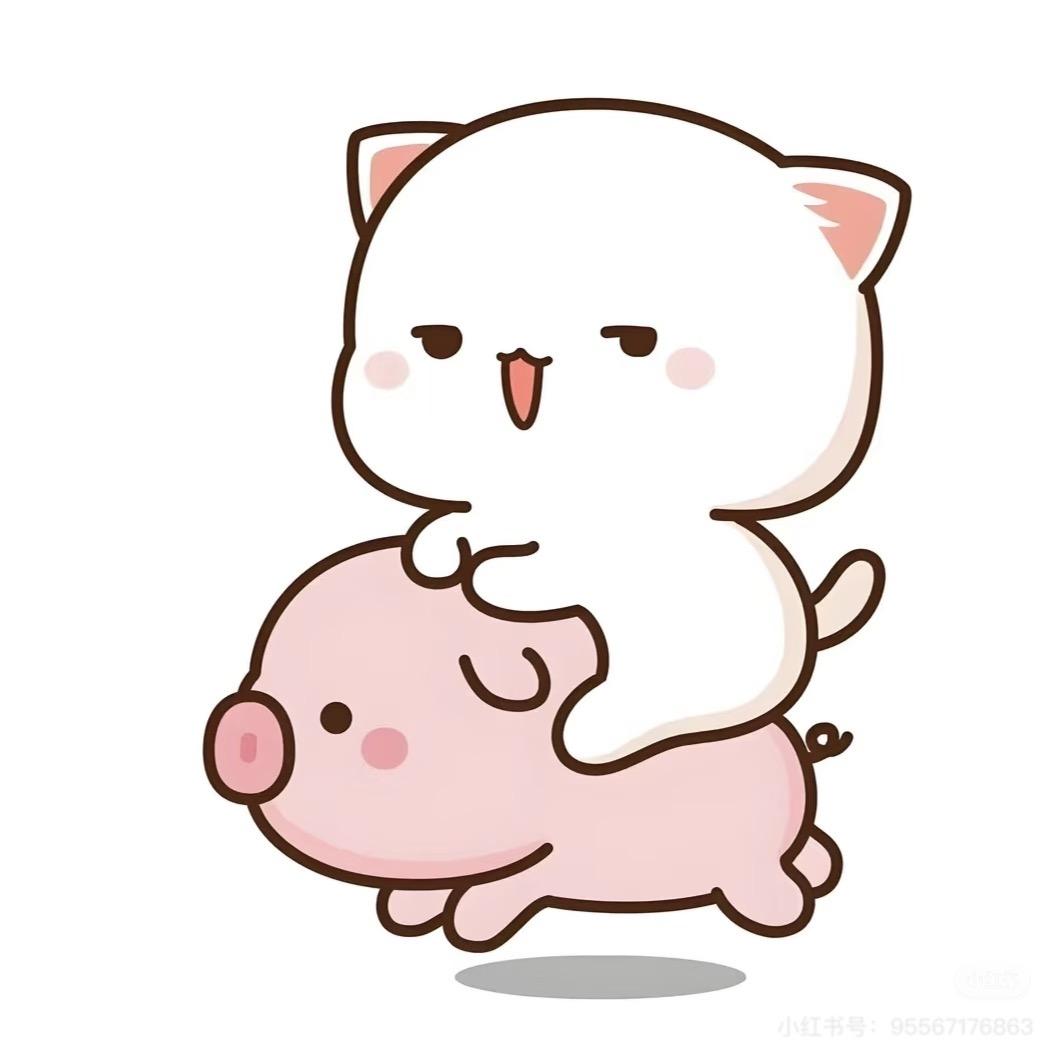 妍妍猪