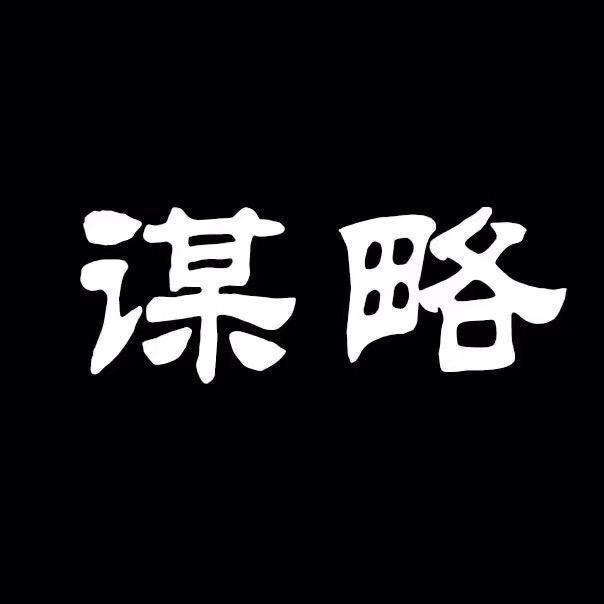 谋略人生