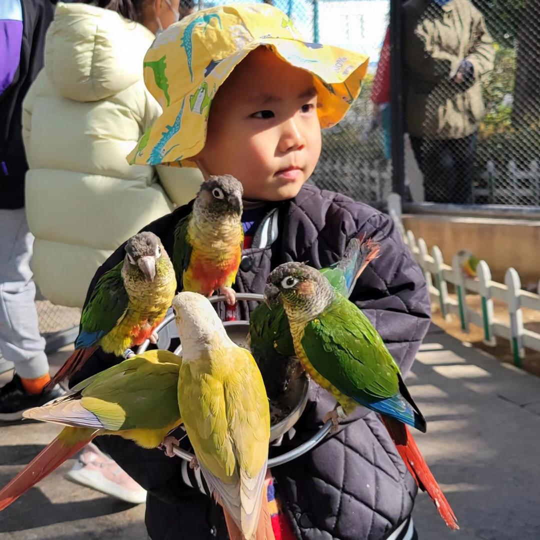亚鼎电器