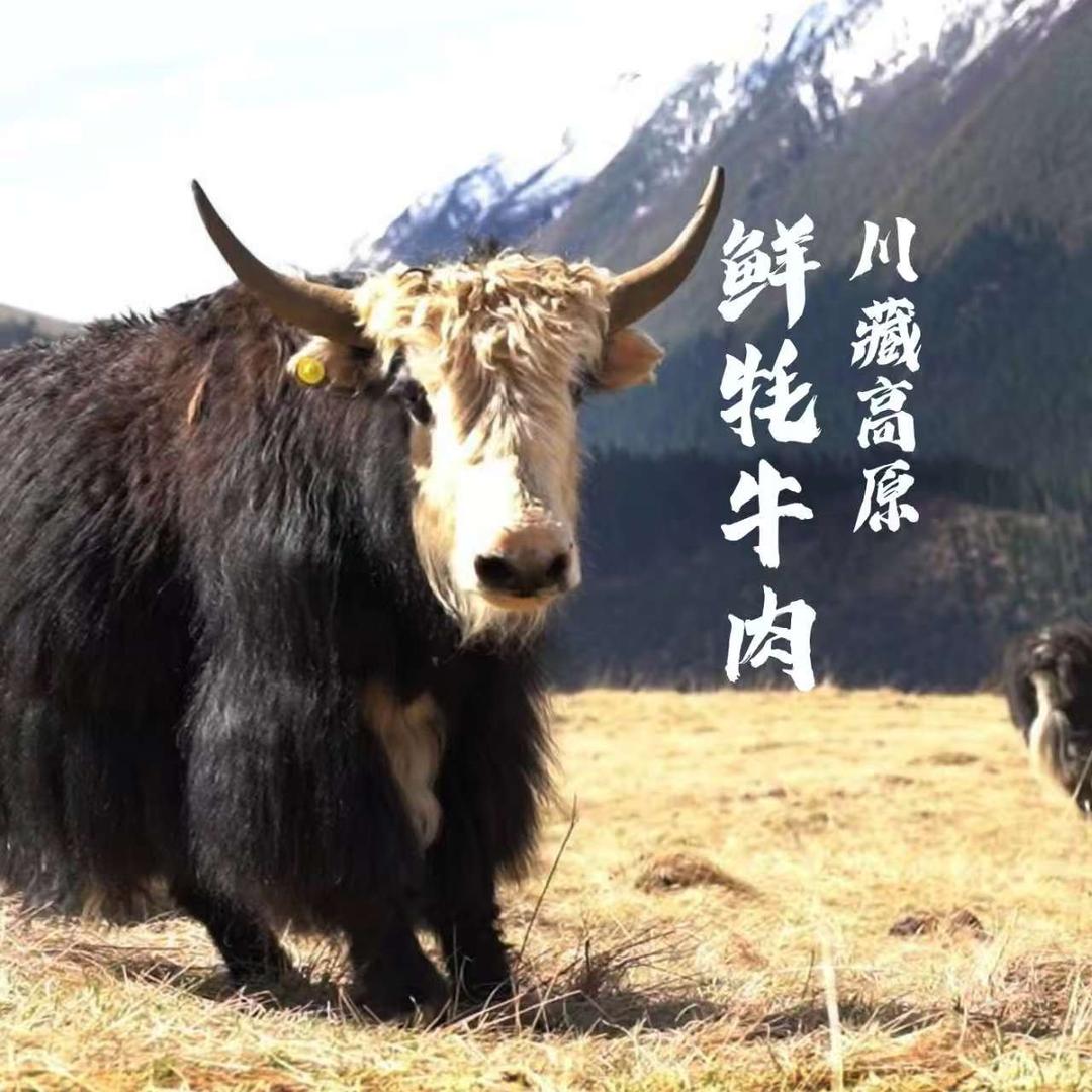 藏味大师生鲜企业店