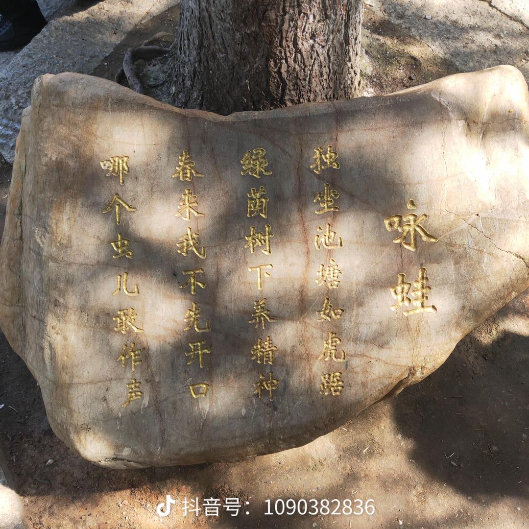 哦呵