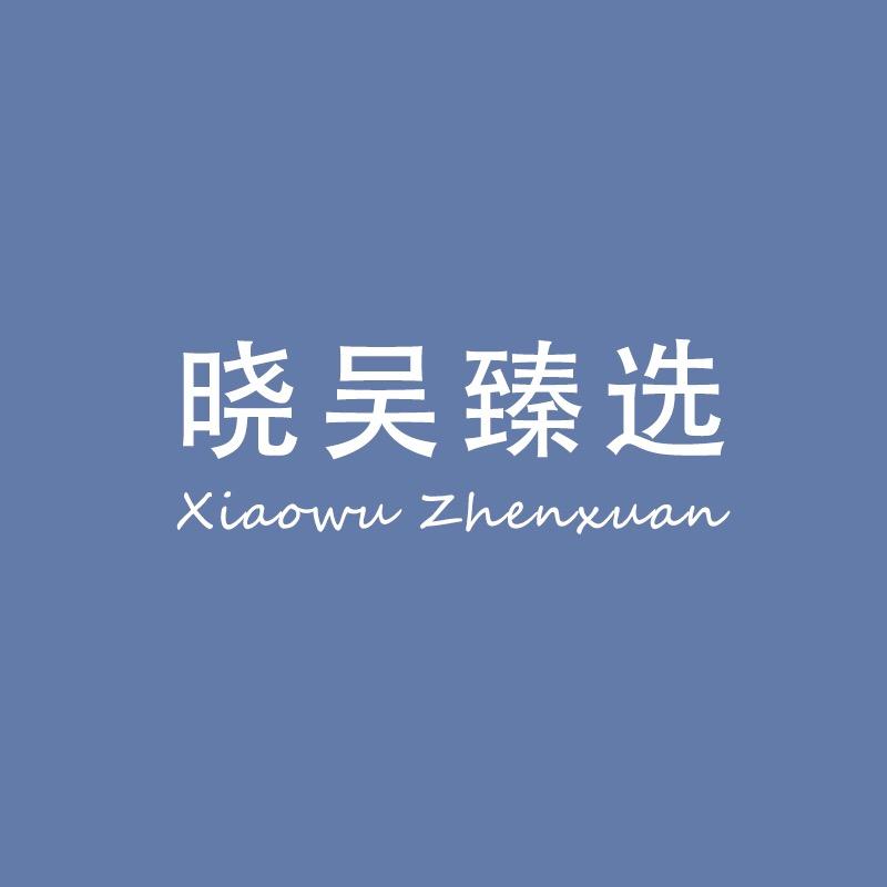 晓吴臻选童装店